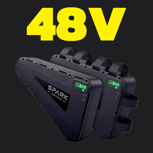 48V Hard Case Batteries